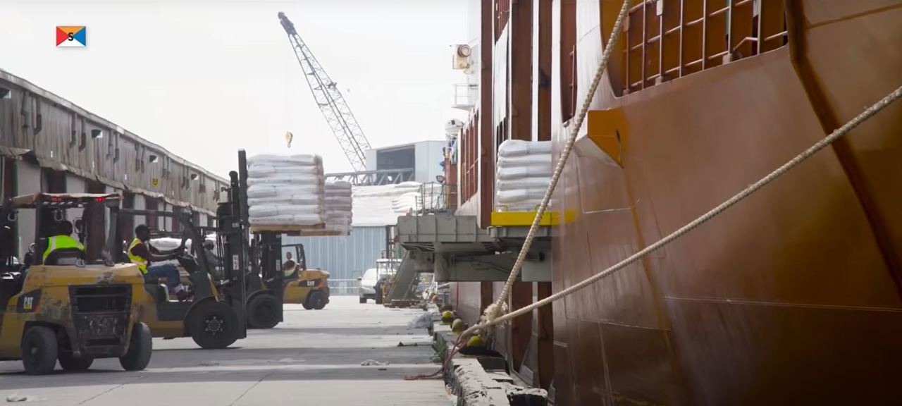 Video Rice On Pallets